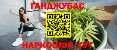 прущие крисы Камень-на-Оби