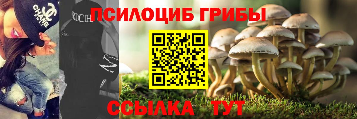 Псилоцибиновые грибы мицелий  Вход с VPN  Джанкой 